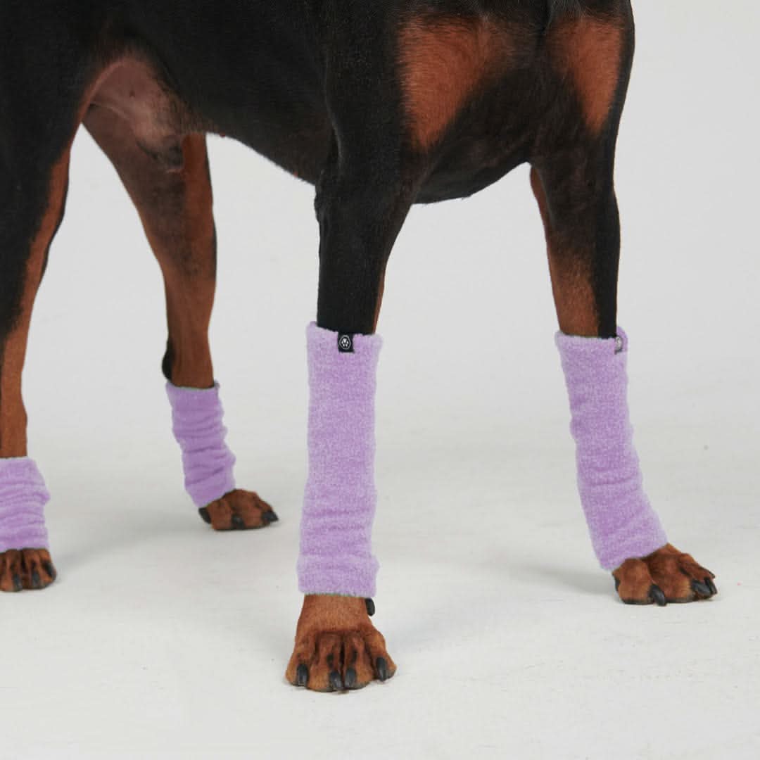 Leg Warmer and Earmuff Protector Set - Purple - Image 2