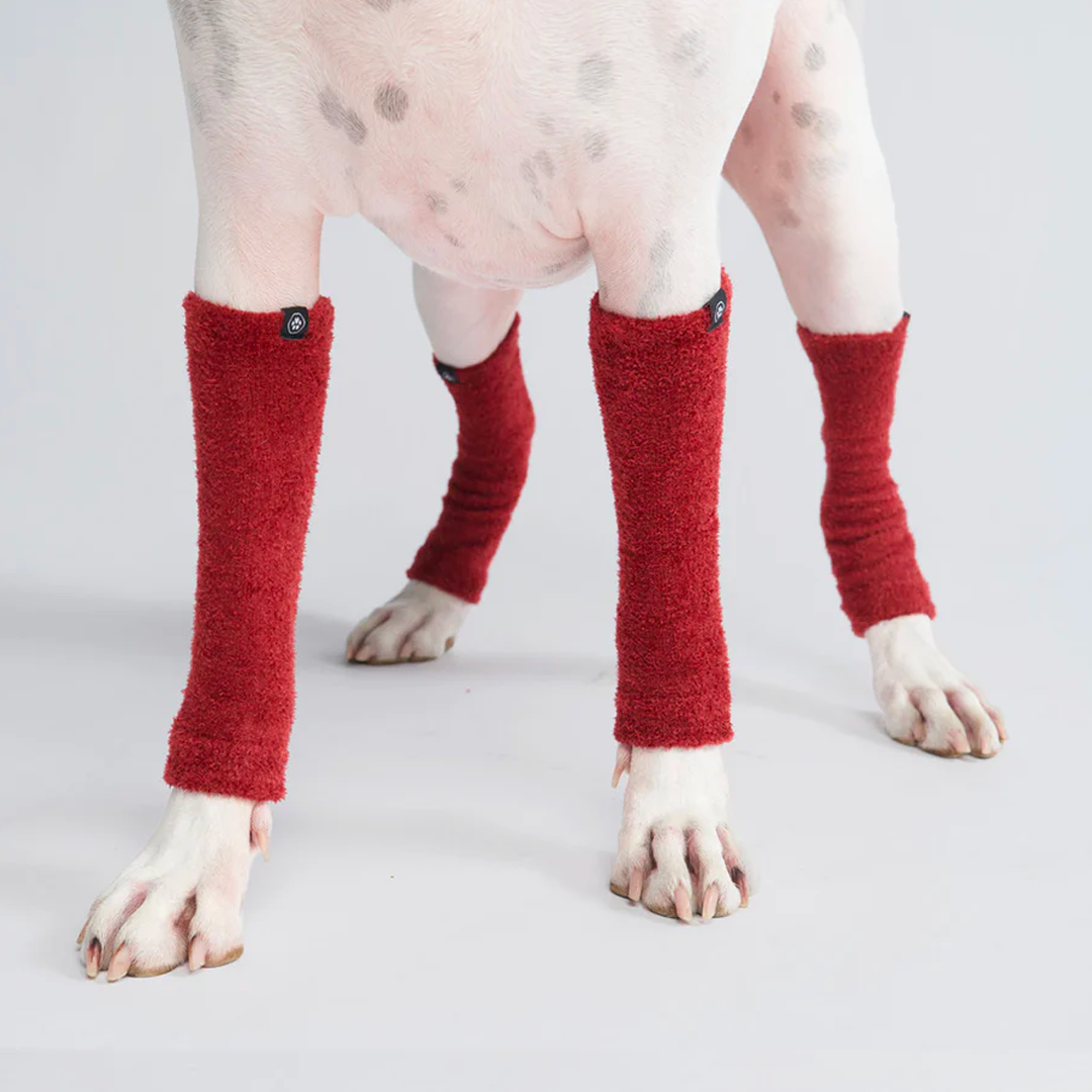 Leg Warmer and Earmuff Protector Set - Red - Image 2