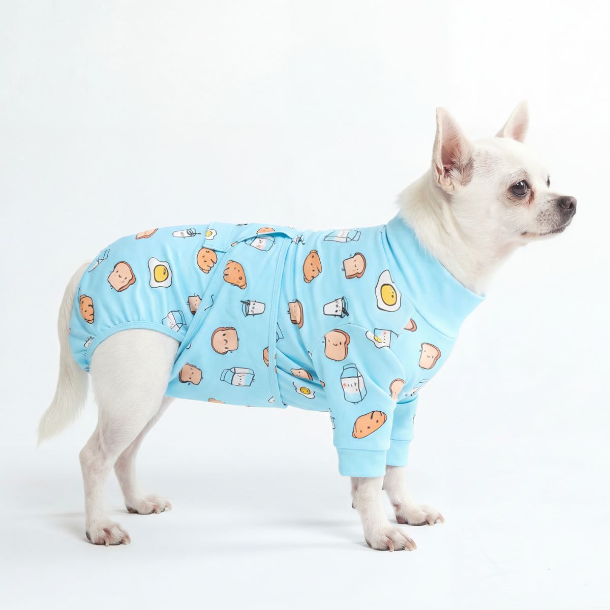 Dog Surgical Suit - Breakfast Blue - Image 3