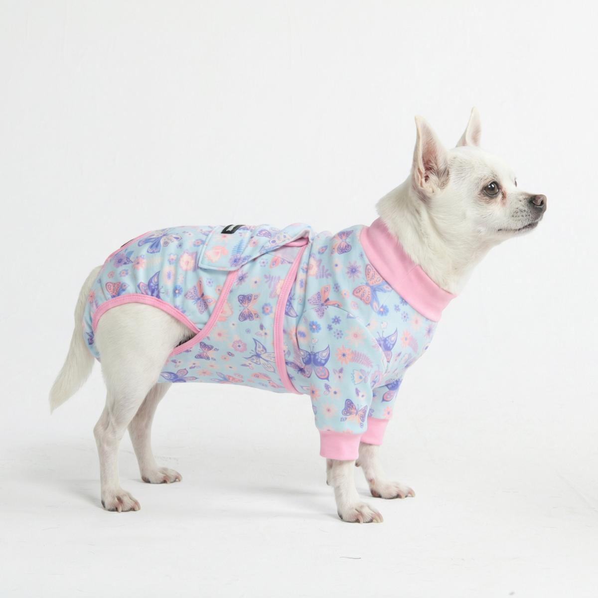 Dog Surgical Suit - Butterfly - Image 2