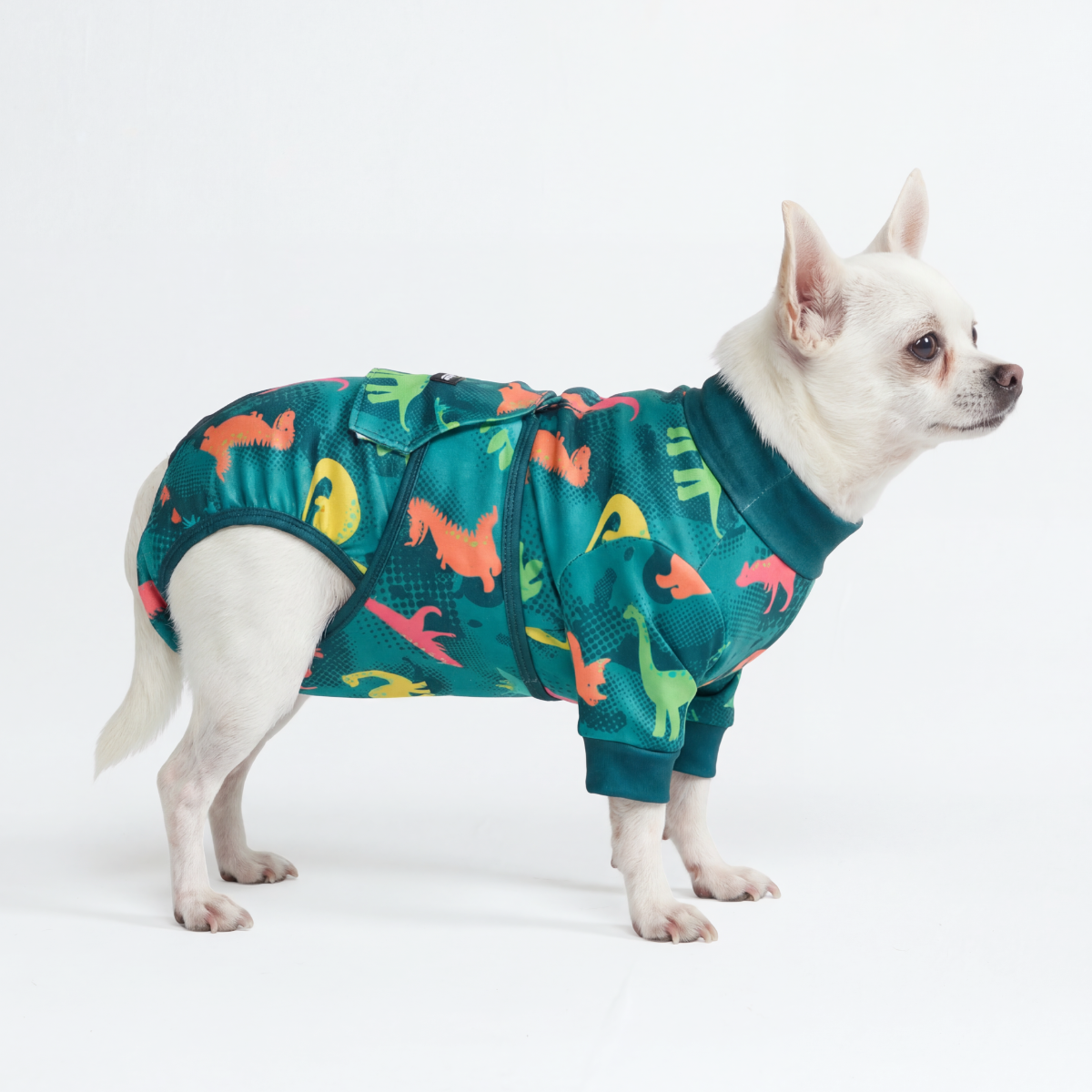 Dog Surgical Suit - Dinosaurs - Image 3