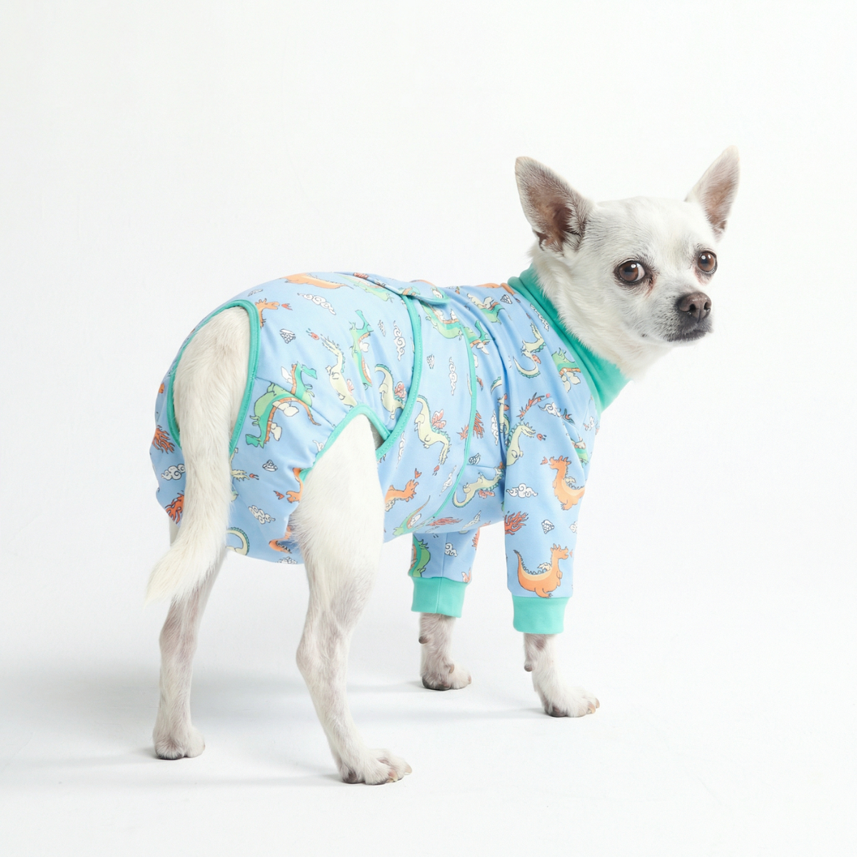 Dog Surgical Suit - Dragons - Image 3