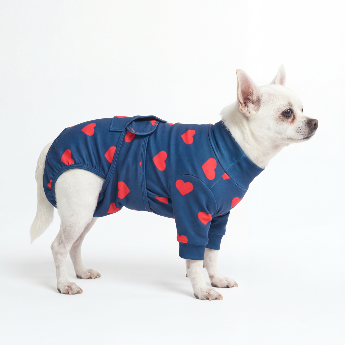 Dog Surgical Suit - Hearts - Image 4