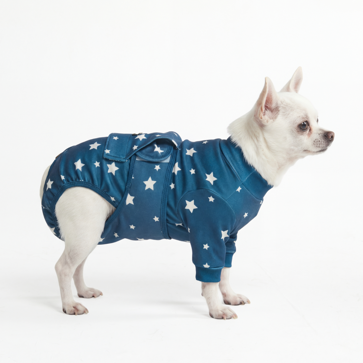 Dog Surgical Suit - Stars - Image 2