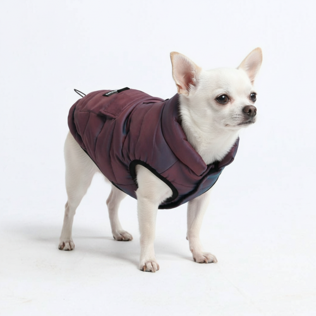 WarmShield Water-Resistant Jacket - Cosmic - Image 2