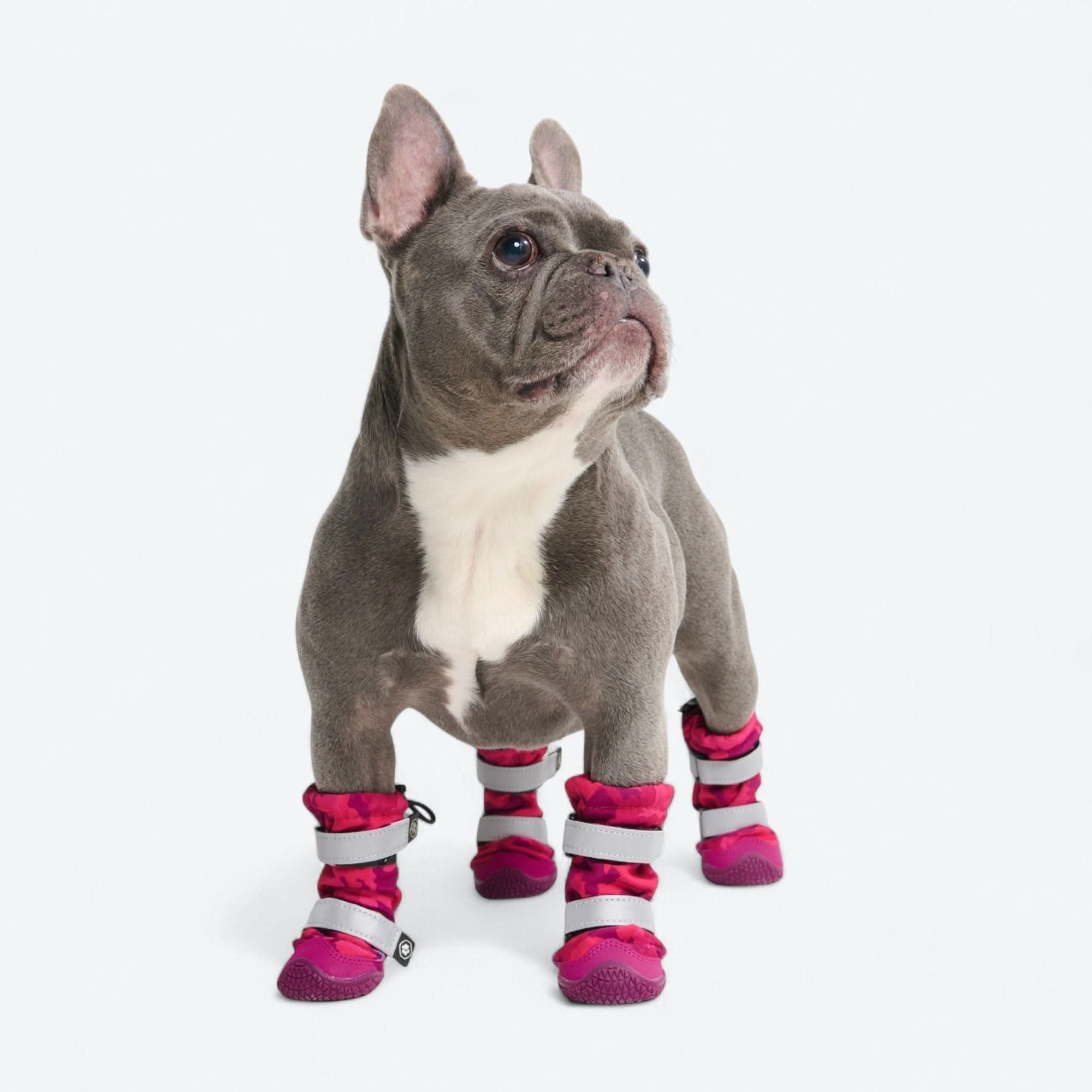 Dog Rainboots. Waterproof Dog Shoes - Fuchsia Camo - Image 2