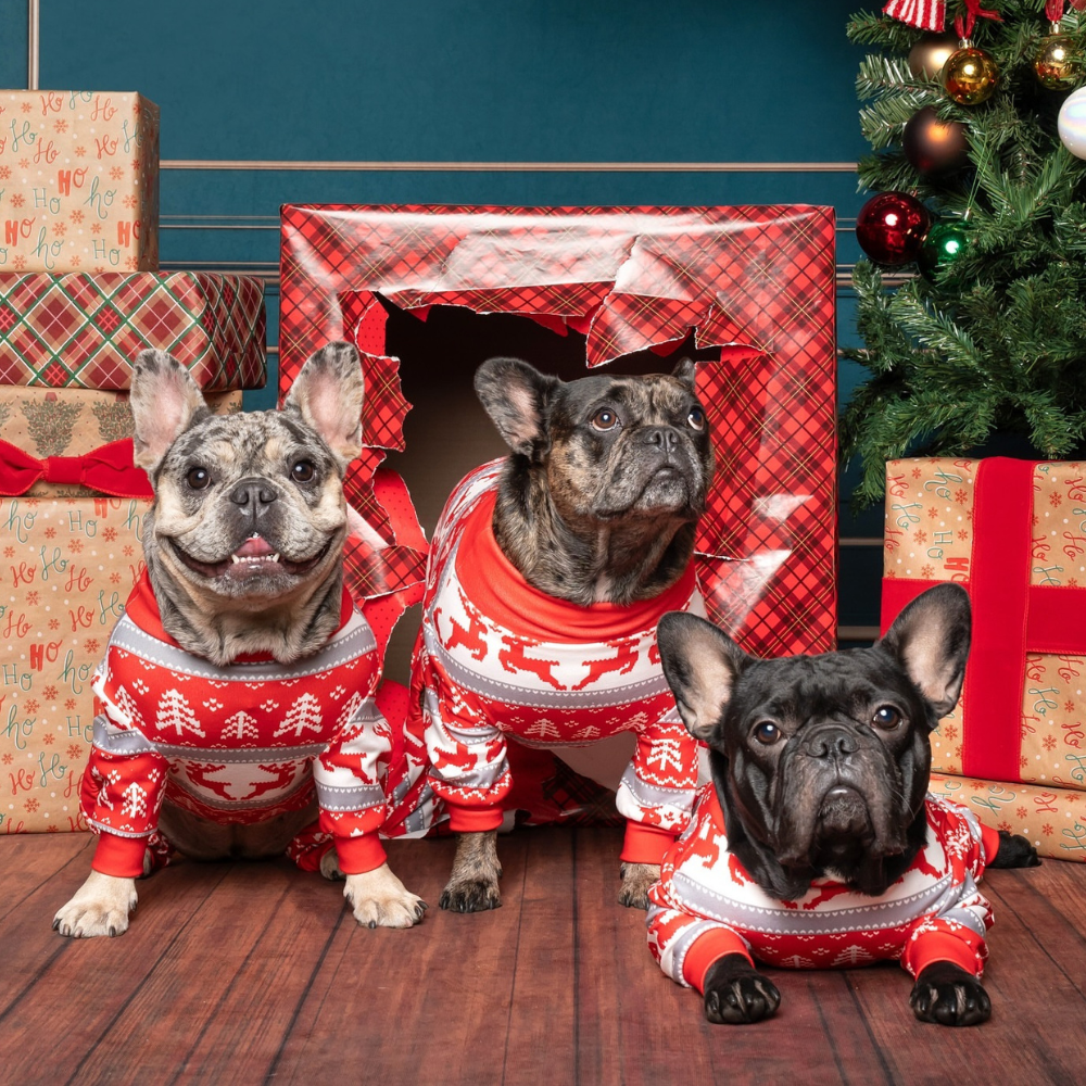 Dog Christmas Pajama - Winter Wonderland - Image 13