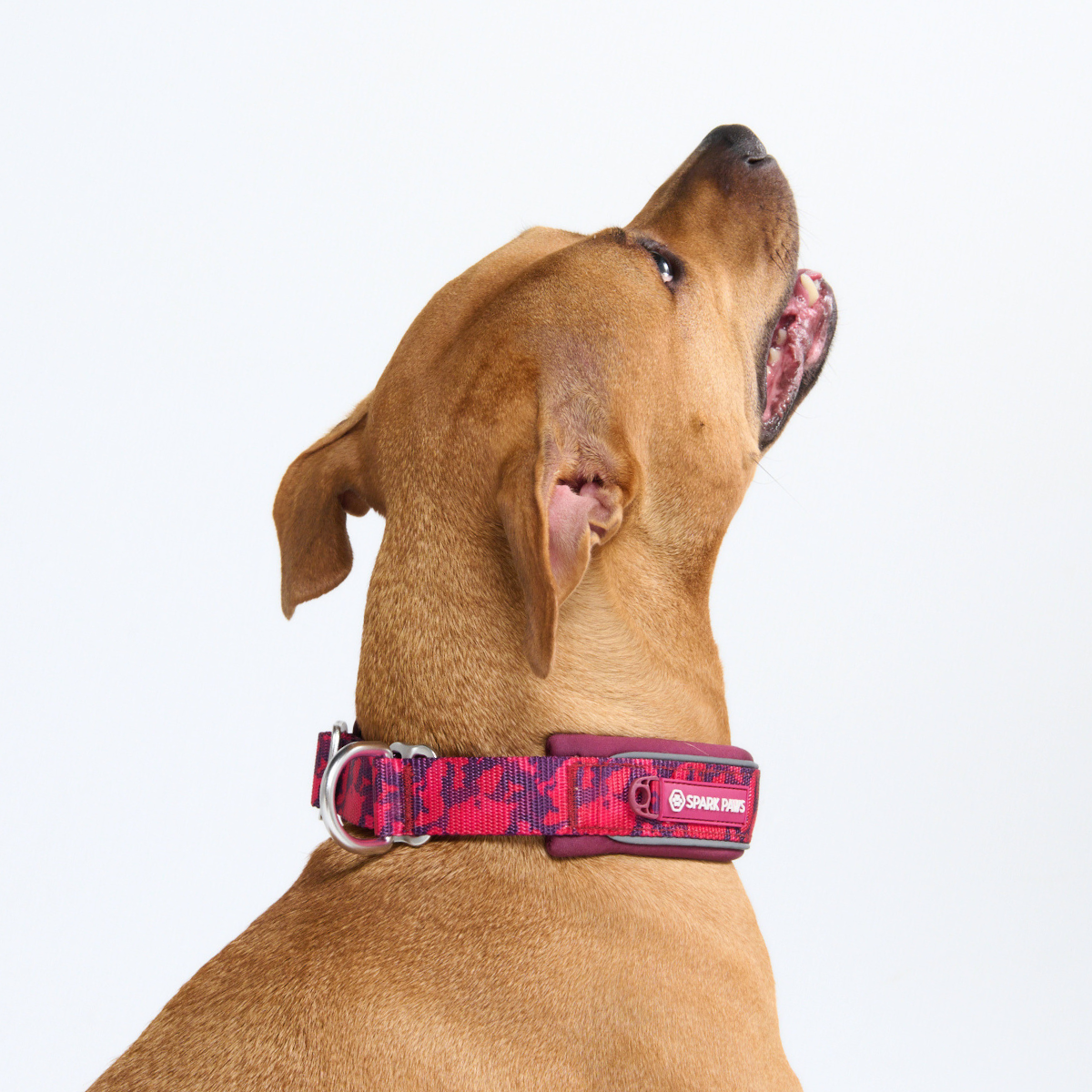Cushioned Martingale Collar - Fuchsia Camo - Image 8