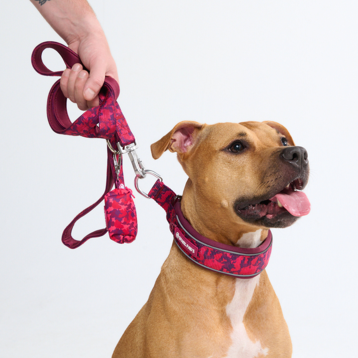 Cushioned Martingale Collar - Fuchsia Camo - Image 9