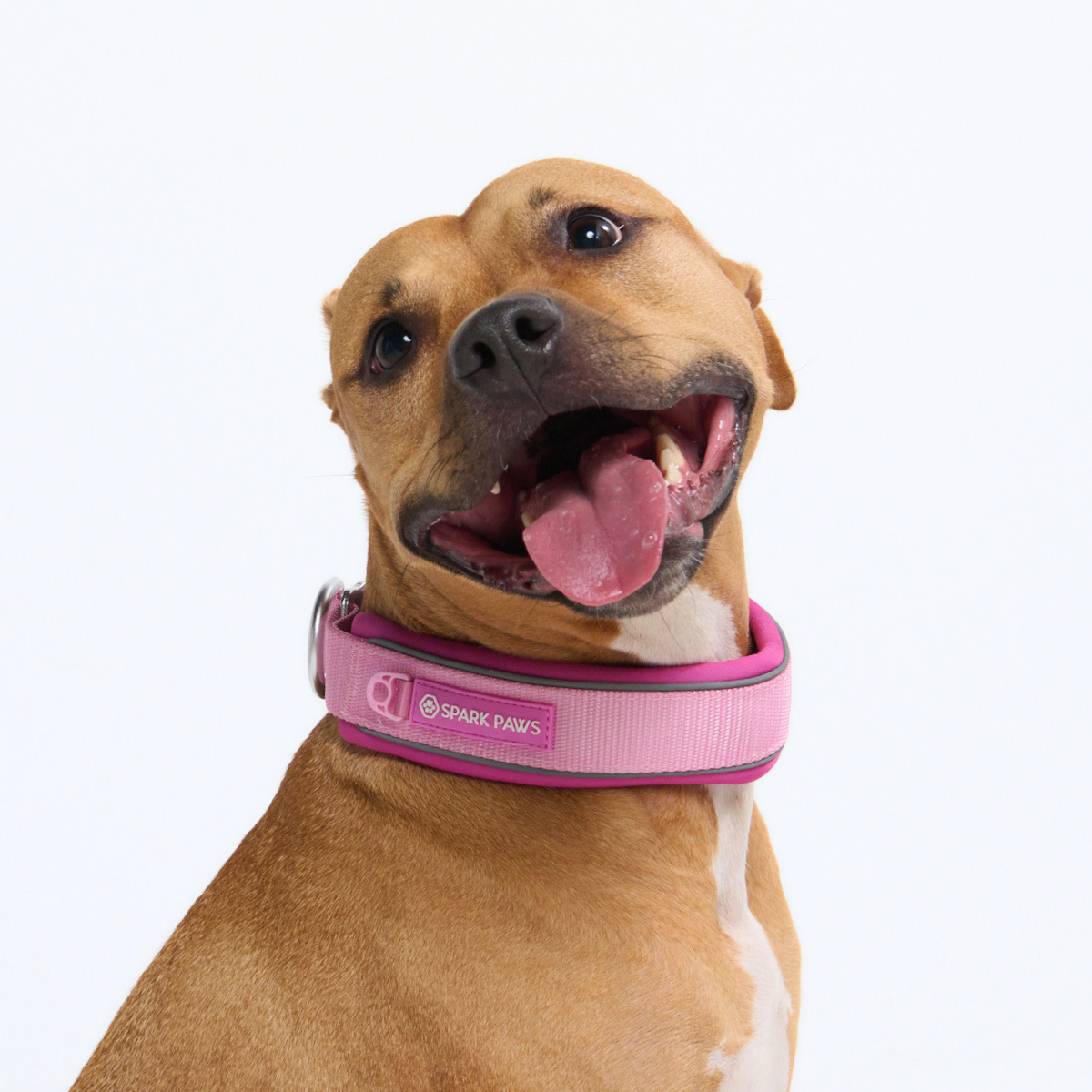 Cushioned Martingale Collar - Pink - Image 8