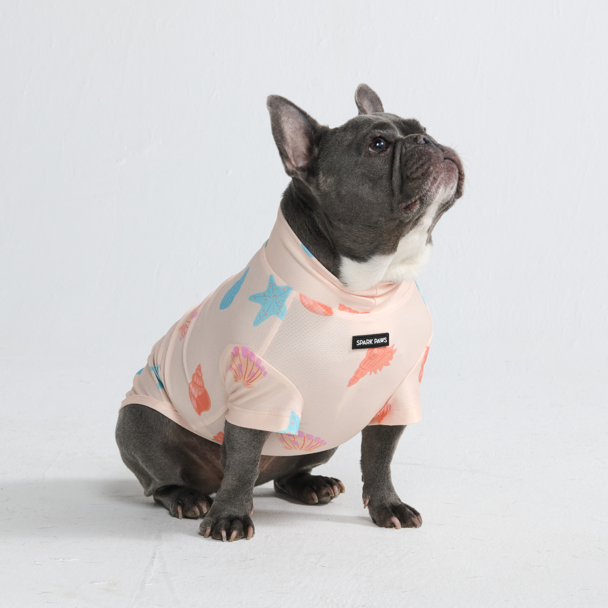 Sunblock Dog T-Shirt - Seashell - Image 2