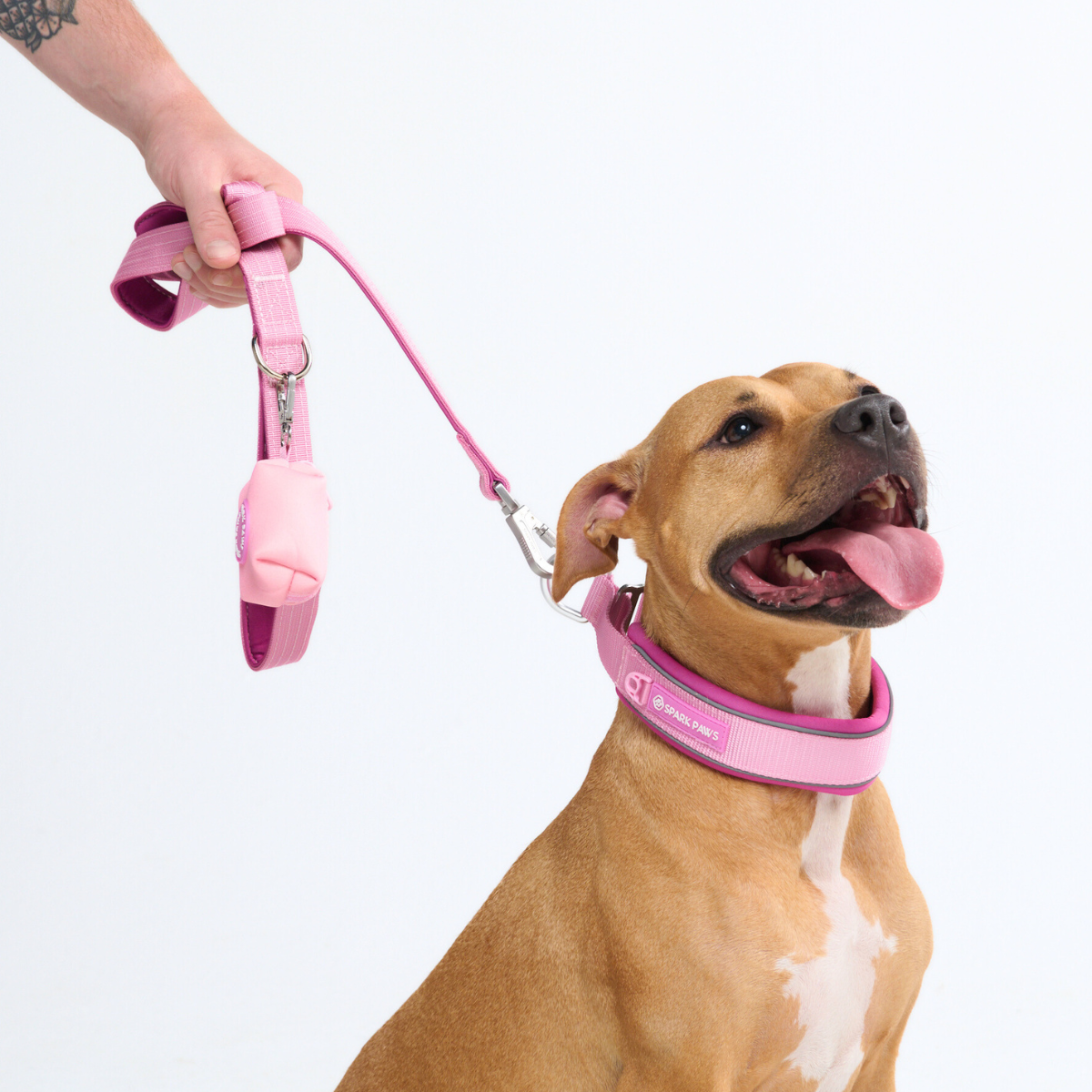 Cushioned Martingale Collar - Pink - Image 9