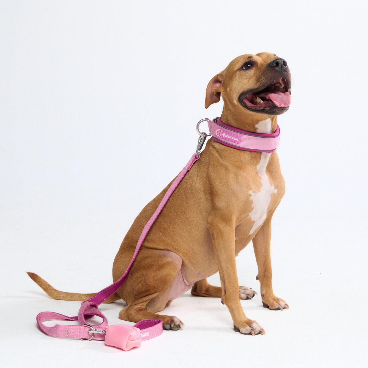 Cushioned Martingale Collar - Pink - Image 10