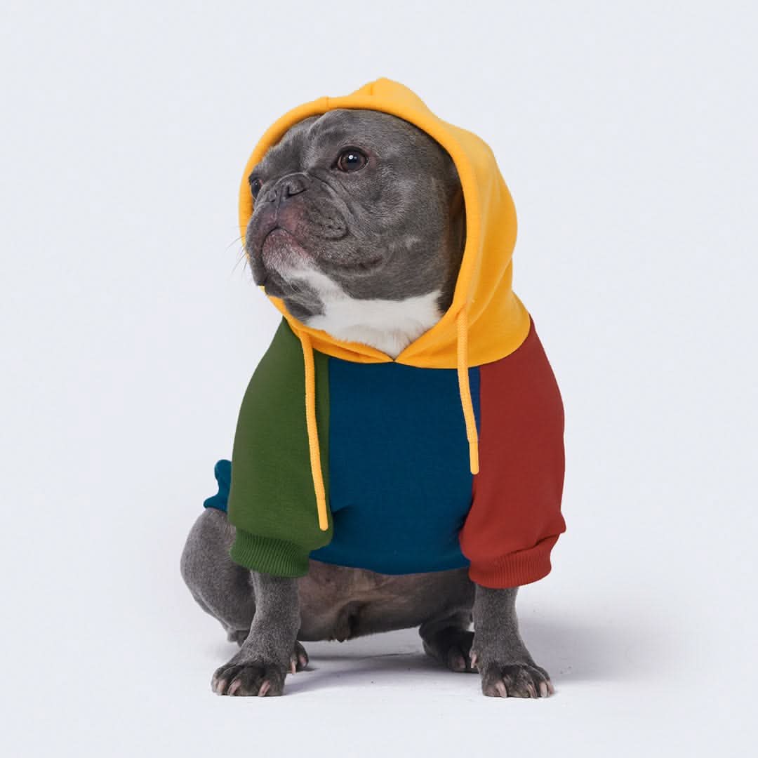 Primary Color Block Dog Hoodie - Image 12