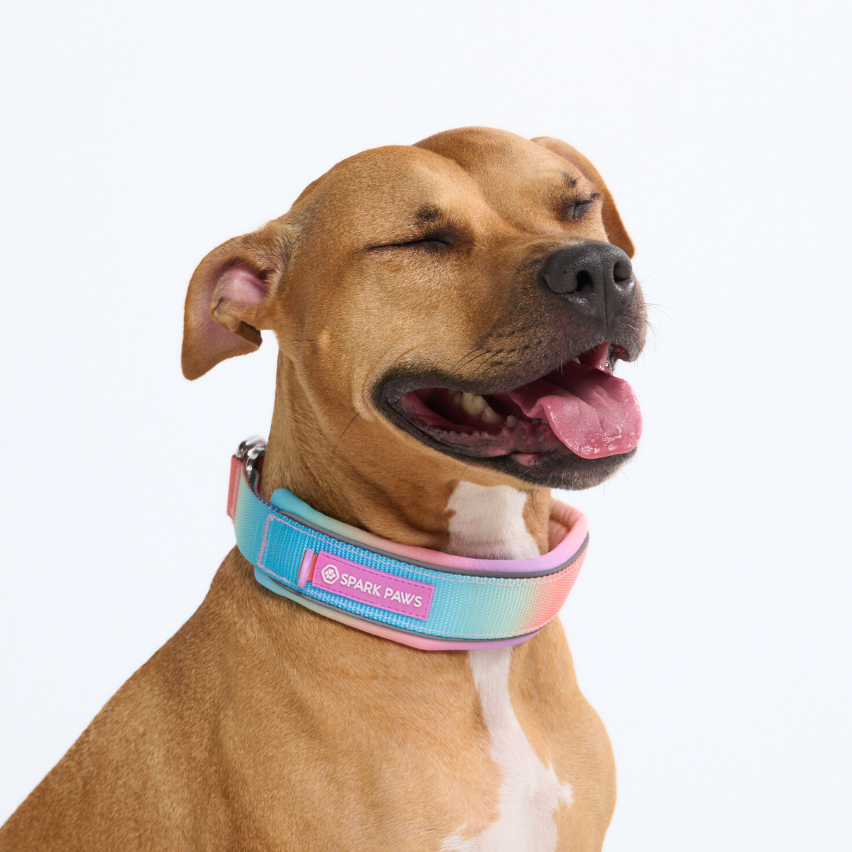 Cushioned Martingale Collar - Pastel Icing - Image 8