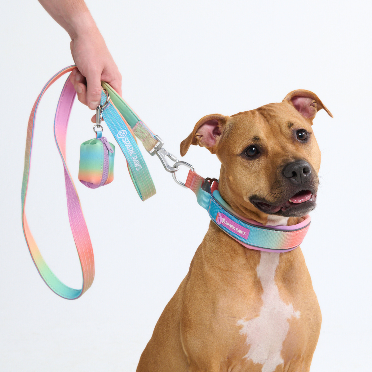 Cushioned Martingale Collar - Pastel Icing - Image 10