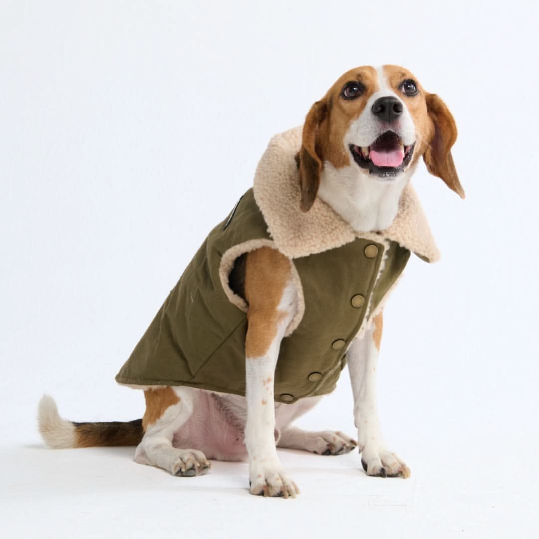 Workdog Insulated Utility Jacket - Green - Image 8