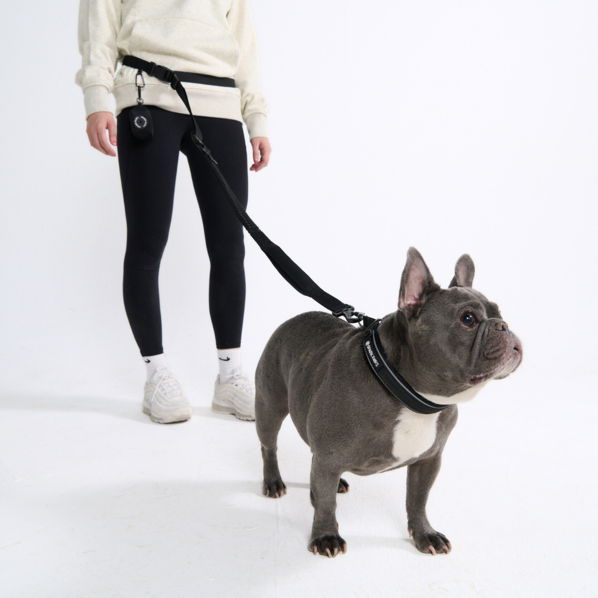 Multipurpose Seatbelt Handsfree Leash & Poop Bag Holder Set - Image 25