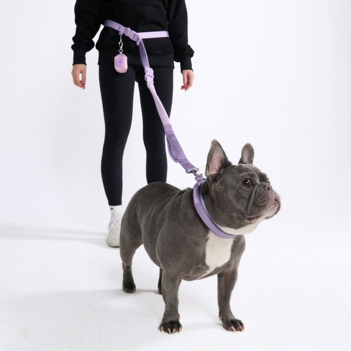 Multipurpose Seatbelt Handsfree Leash & Poop Bag Holder Set - Lilac - Image 2