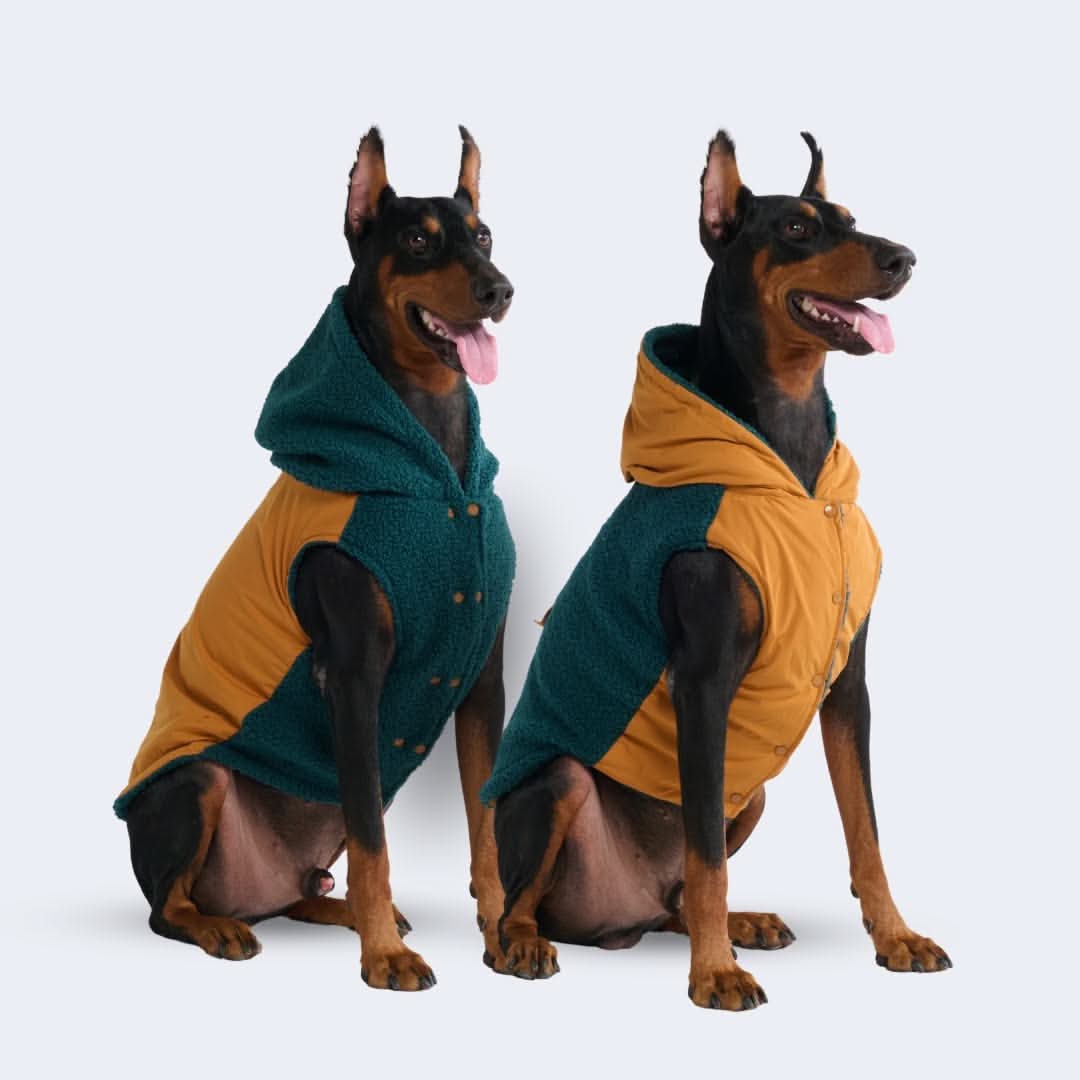 Reversible Jacket - Green and Orange - Image 10