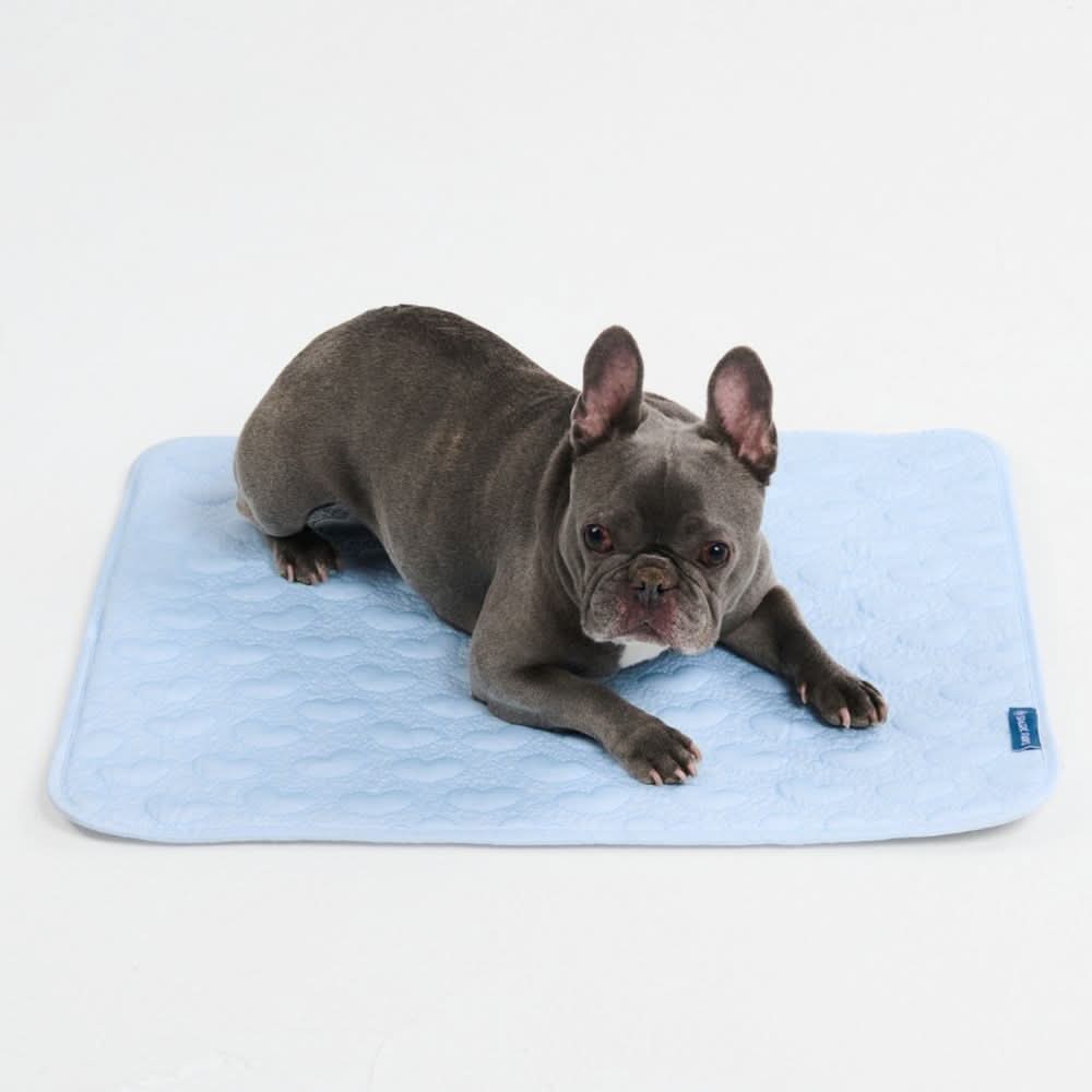 Frostcore™ Cooling Mat - Hearts Blue - Image 4