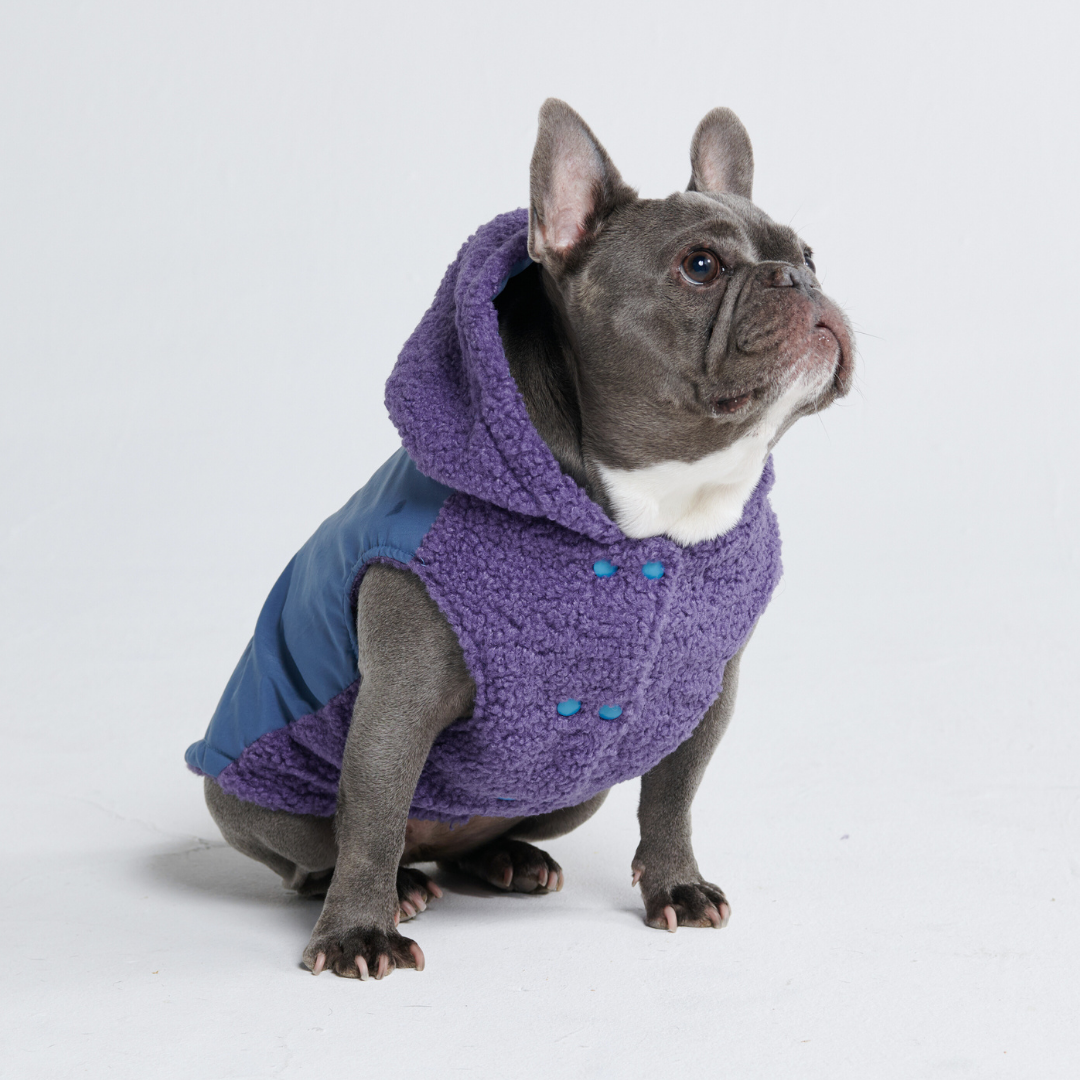 Reversible Sherpa Jacket - Purple and Blue - Image 15