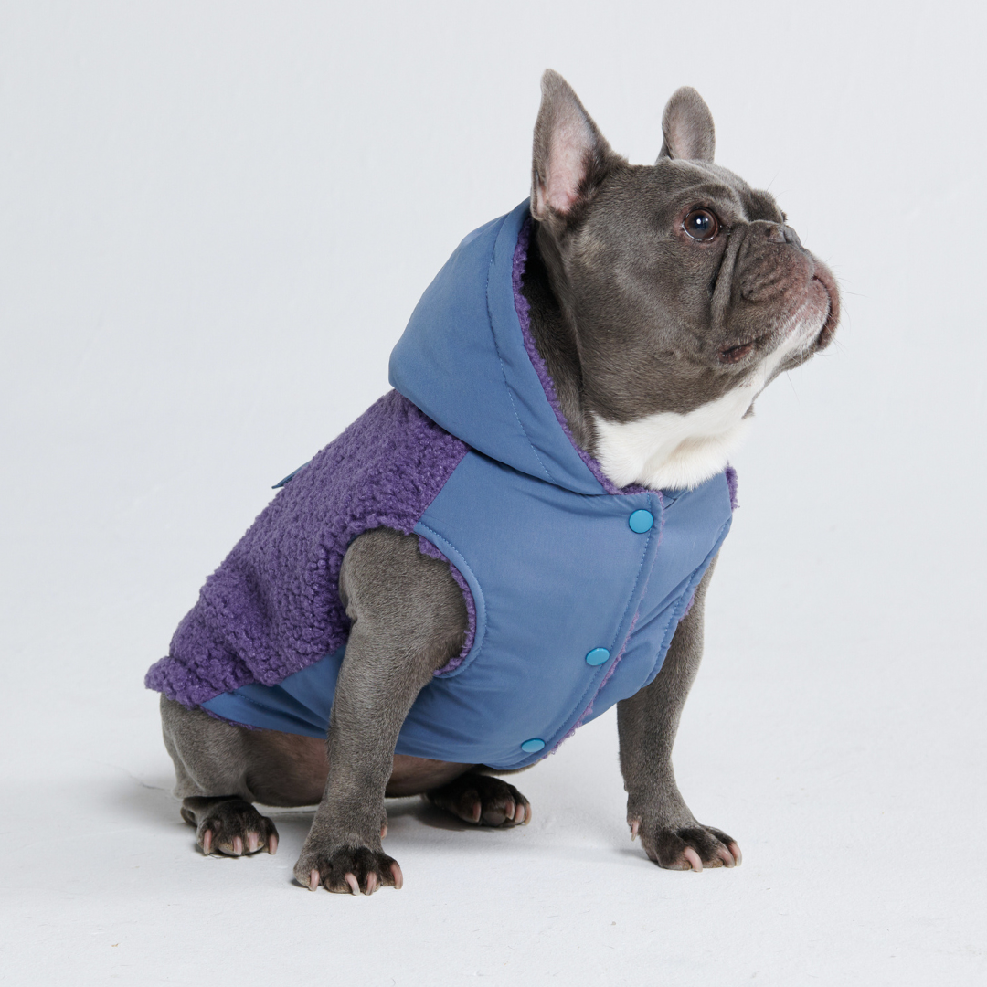 Reversible Sherpa Jacket - Purple and Blue - Image 14