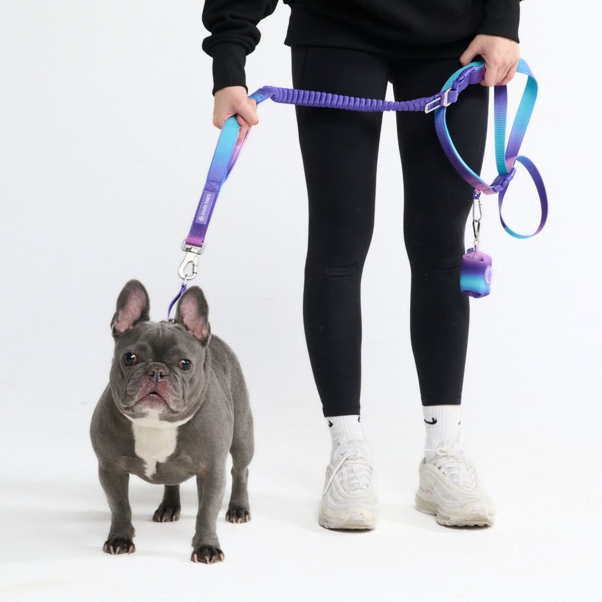 Multipurpose Seatbelt Handsfree Leash & Poop Bag Holder Set - 90s Retro - Image 2