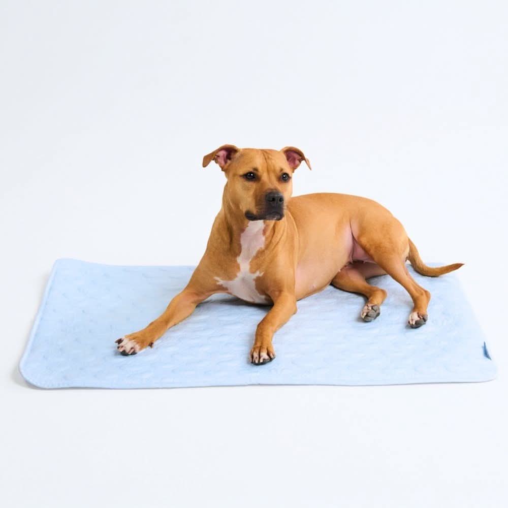 Frostcore™ Cooling Mat - Hearts Blue - Image 2