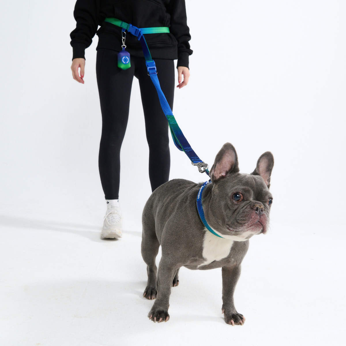 Multipurpose Seatbelt Handsfree Leash & Poop Bag Holder Set - Image 18