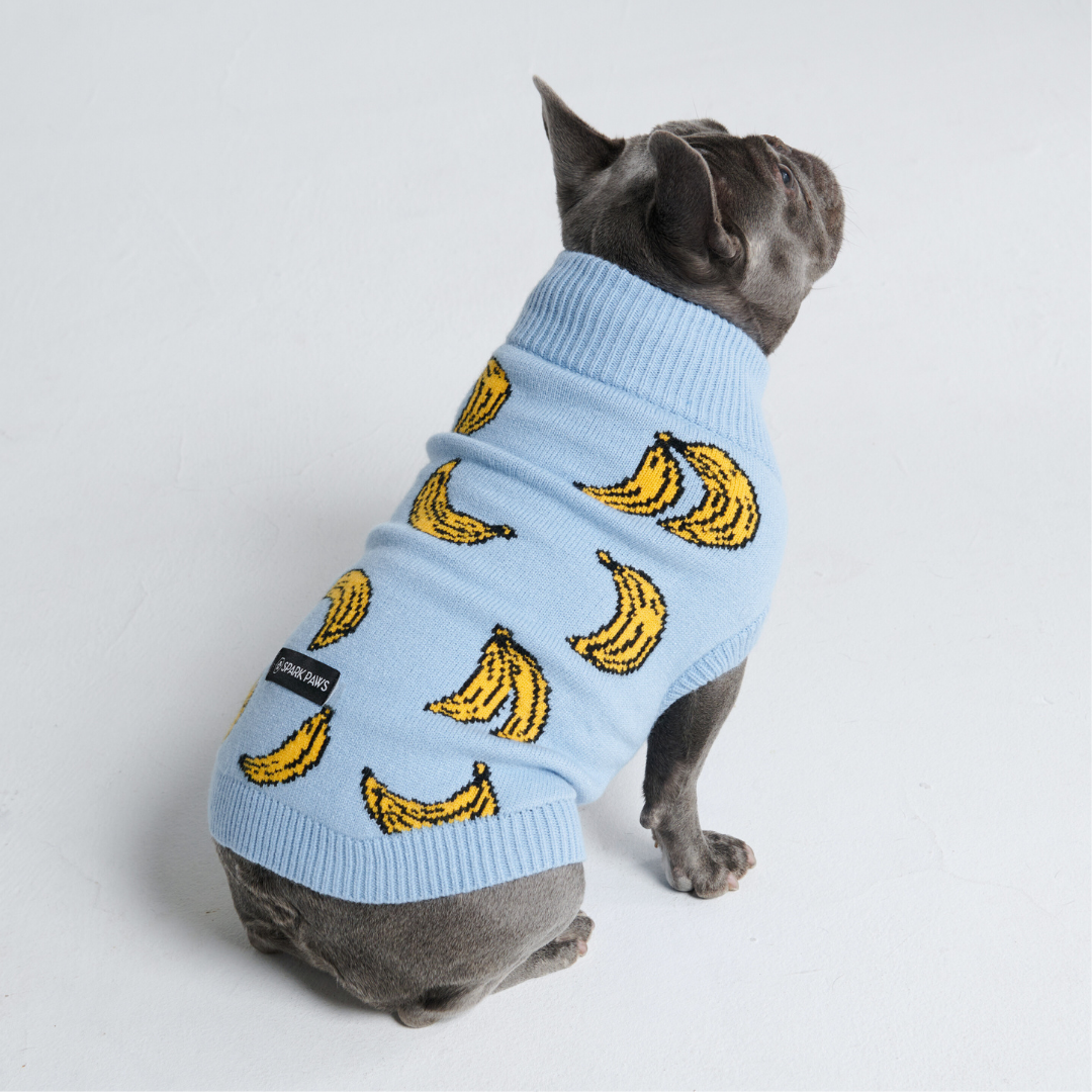 Banana Knit Dog Sweater - Image 9
