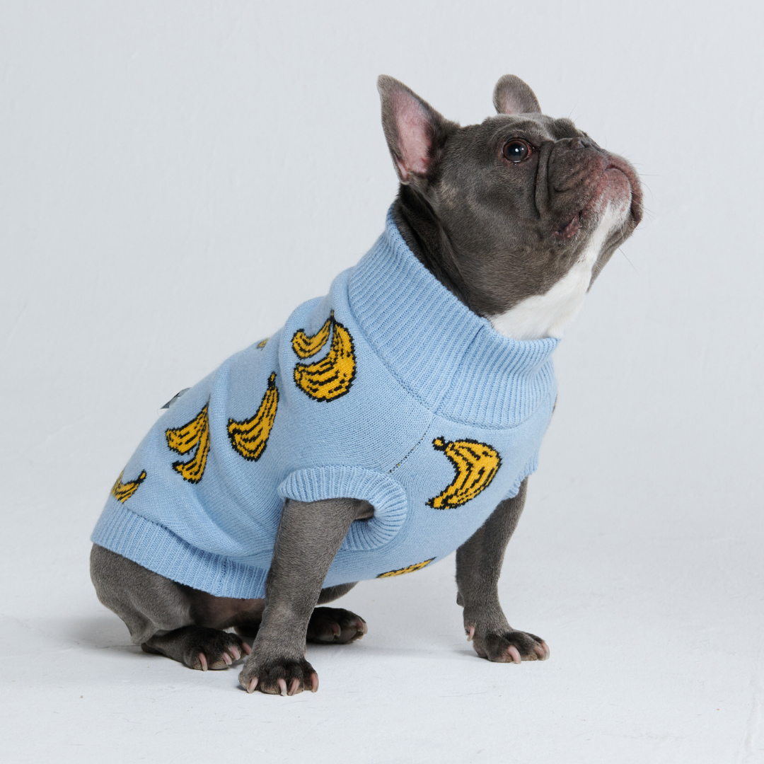 Banana Knit Dog Sweater - Image 10