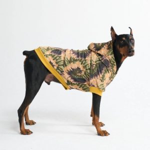 Everglade Skydye Dog Hoodie