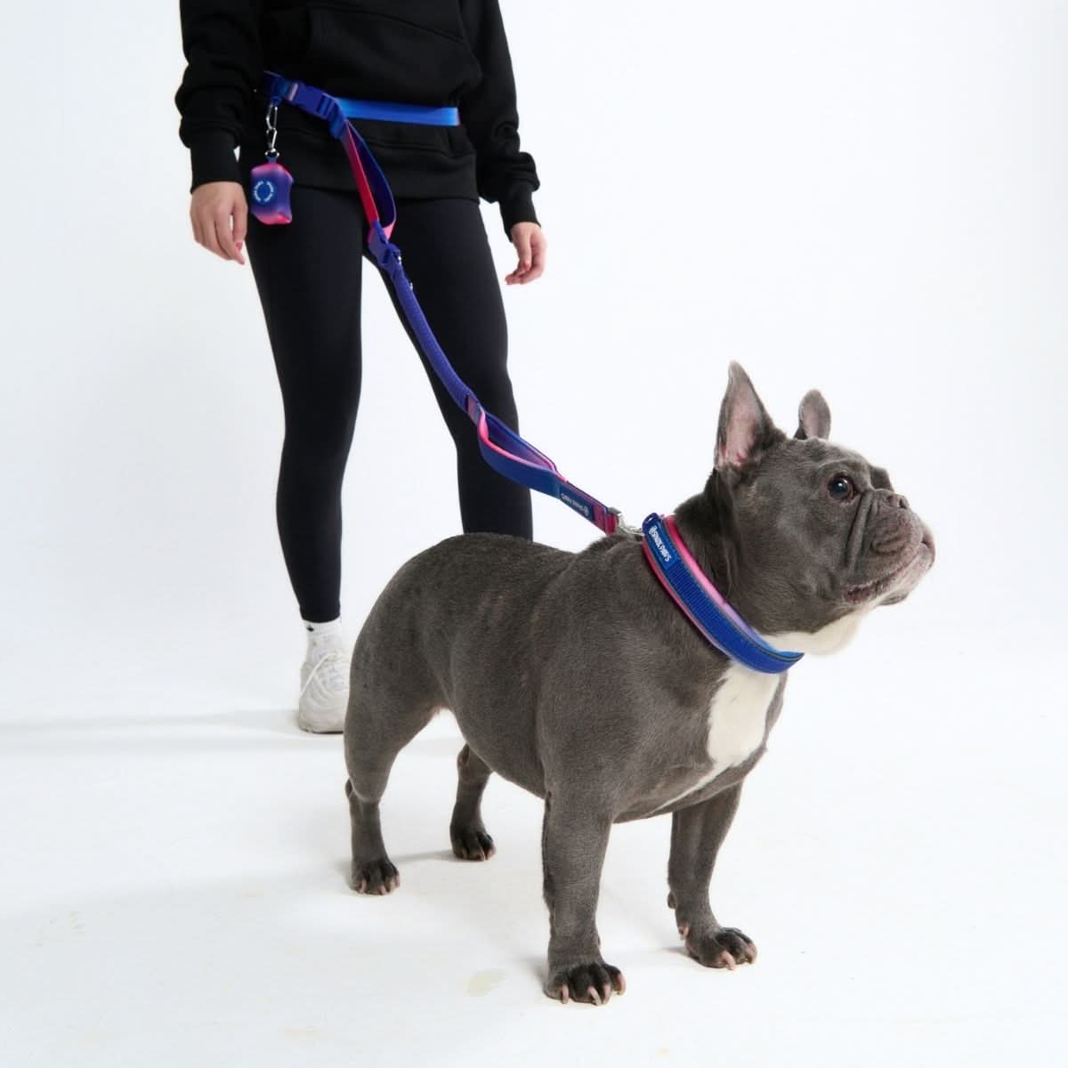 Multipurpose Seatbelt Handsfree Leash & Poop Bag Holder Set - Snow Cone - Image 2