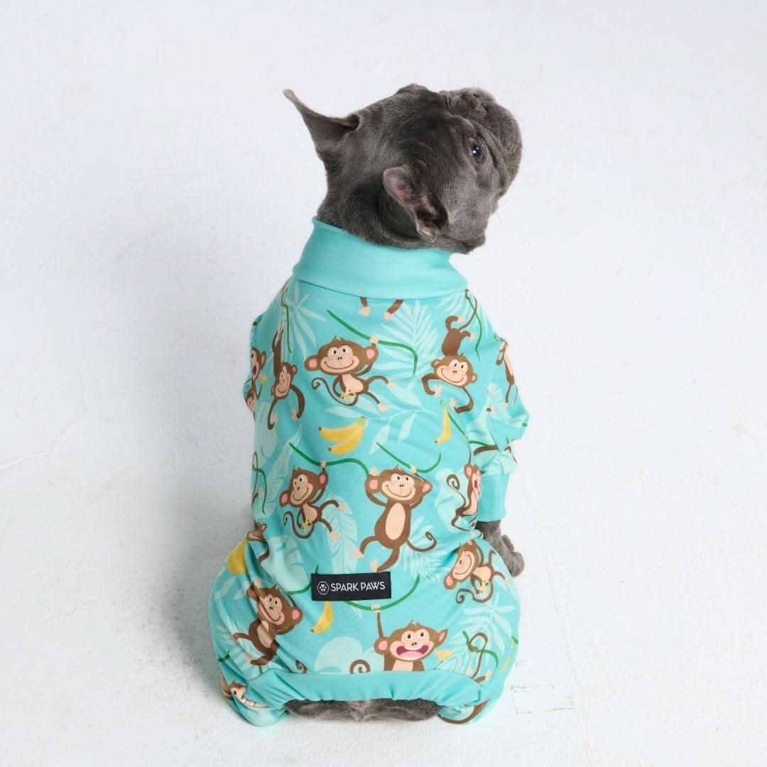 Dog Pajama - Monkey Business - Image 11