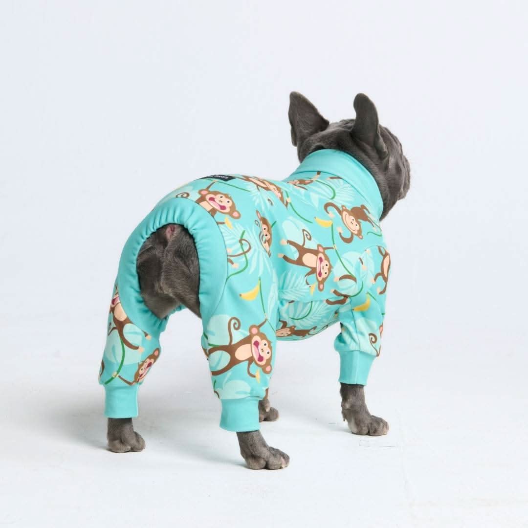 Dog Pajama - Monkey Business - Image 10