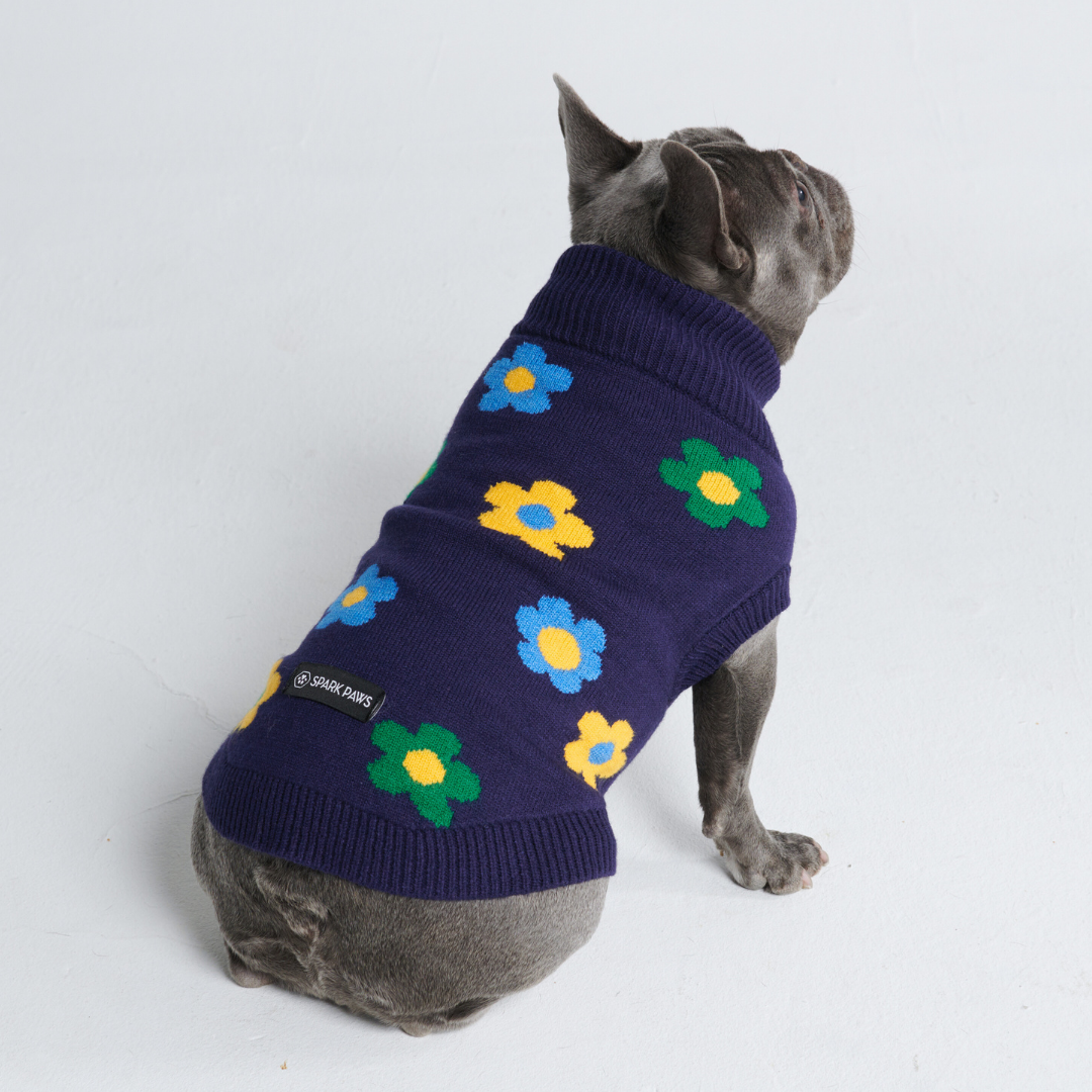 Flower Knit Dog Sweater - Blue Green Yellow - Image 2