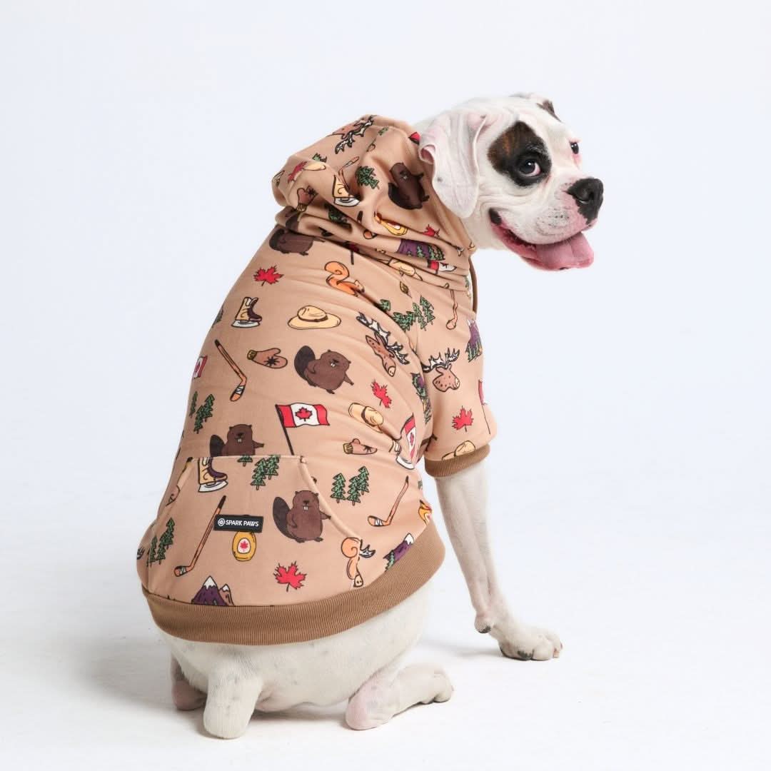 The Canada Human Hoodie - Image 5