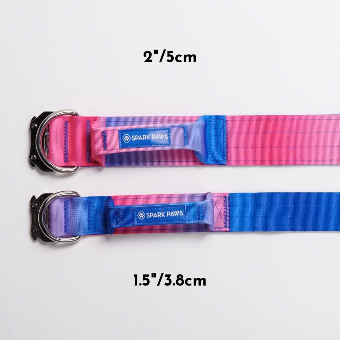 Comfort Control Collar Set - Snow Cone - Image 3