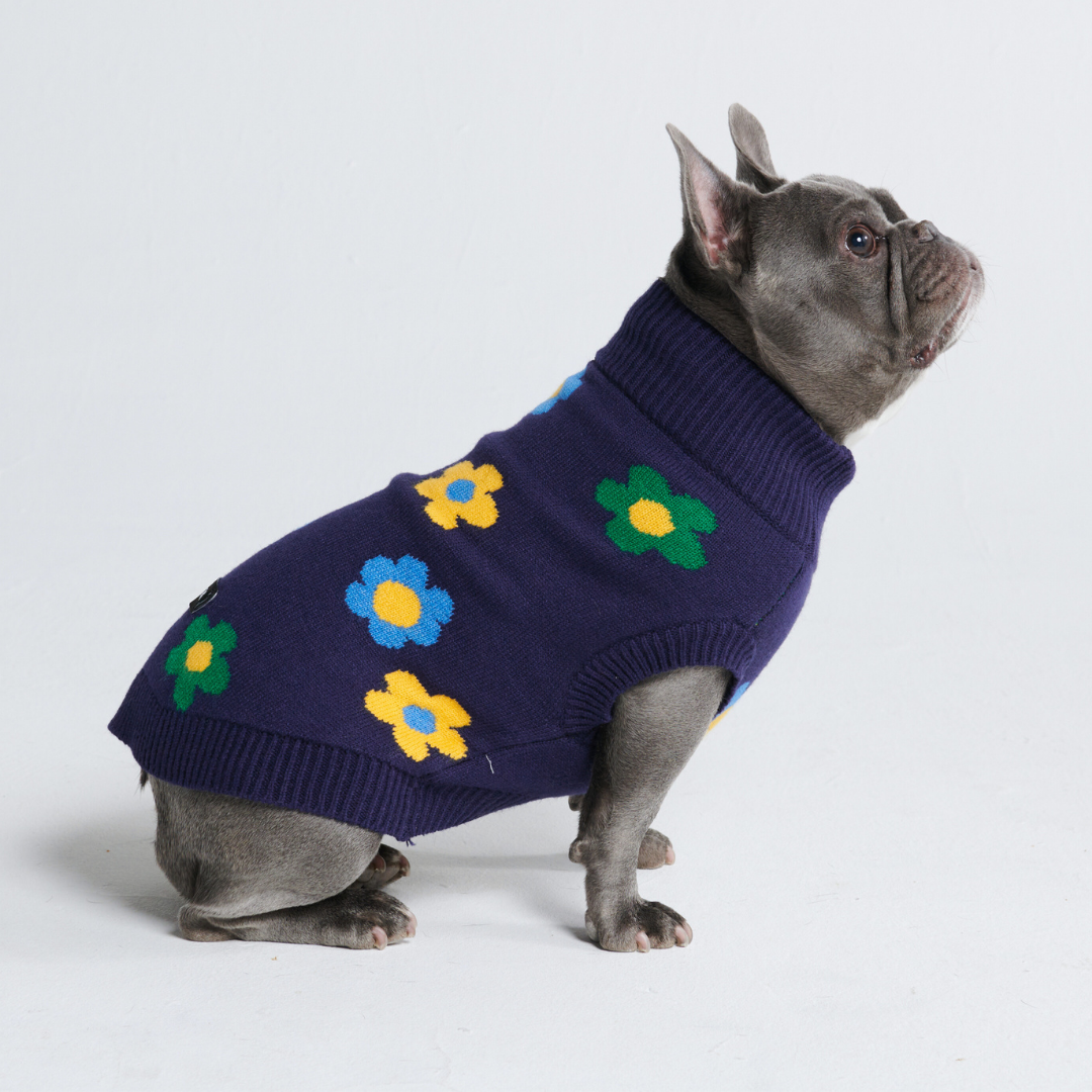 Flower Knit Dog Sweater - Blue Green Yellow - Image 4