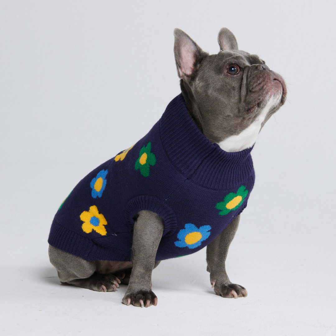 Flower Knit Dog Sweater - Blue Green Yellow - Image 5