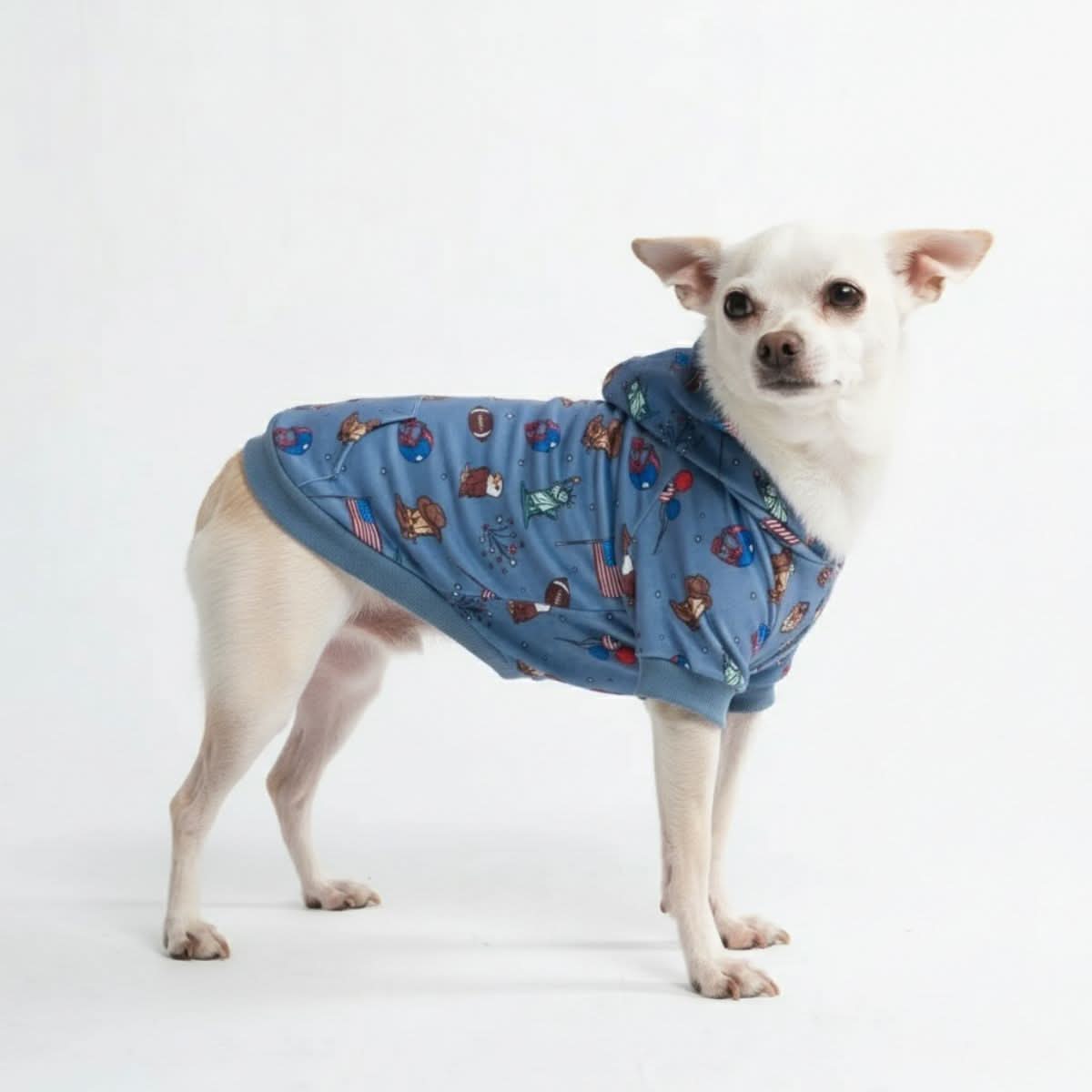 Around the World Dog Hoodies - Image 14