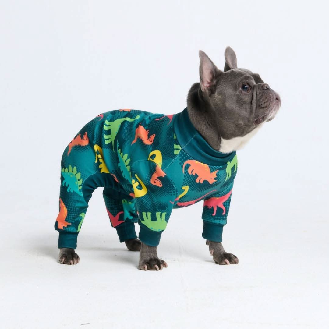 Dog Pajama - Dinosaurs - Image 9