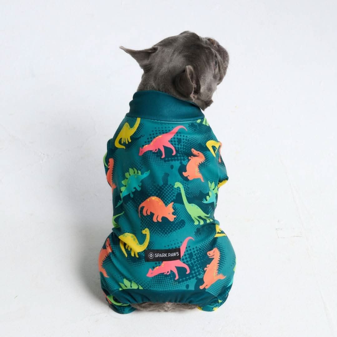 Dog Pajama - Dinosaurs - Image 11