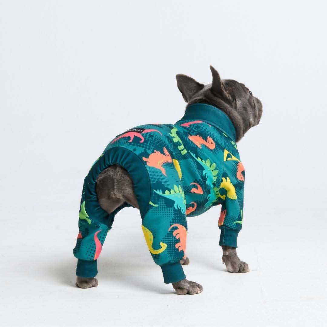 Dog Pajama - Dinosaurs - Image 10