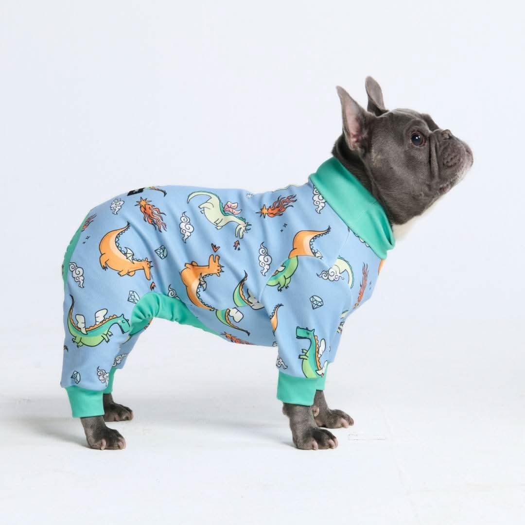 Dog Pajama - Dragons - Image 9