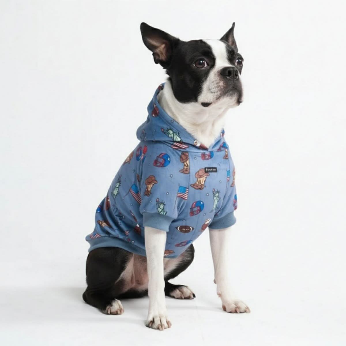 Around the World Dog Hoodies - Image 17