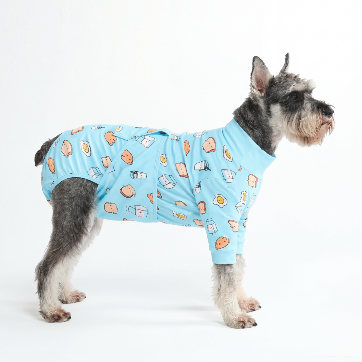 Dog Surgical Suit - Breakfast Blue - Image 4