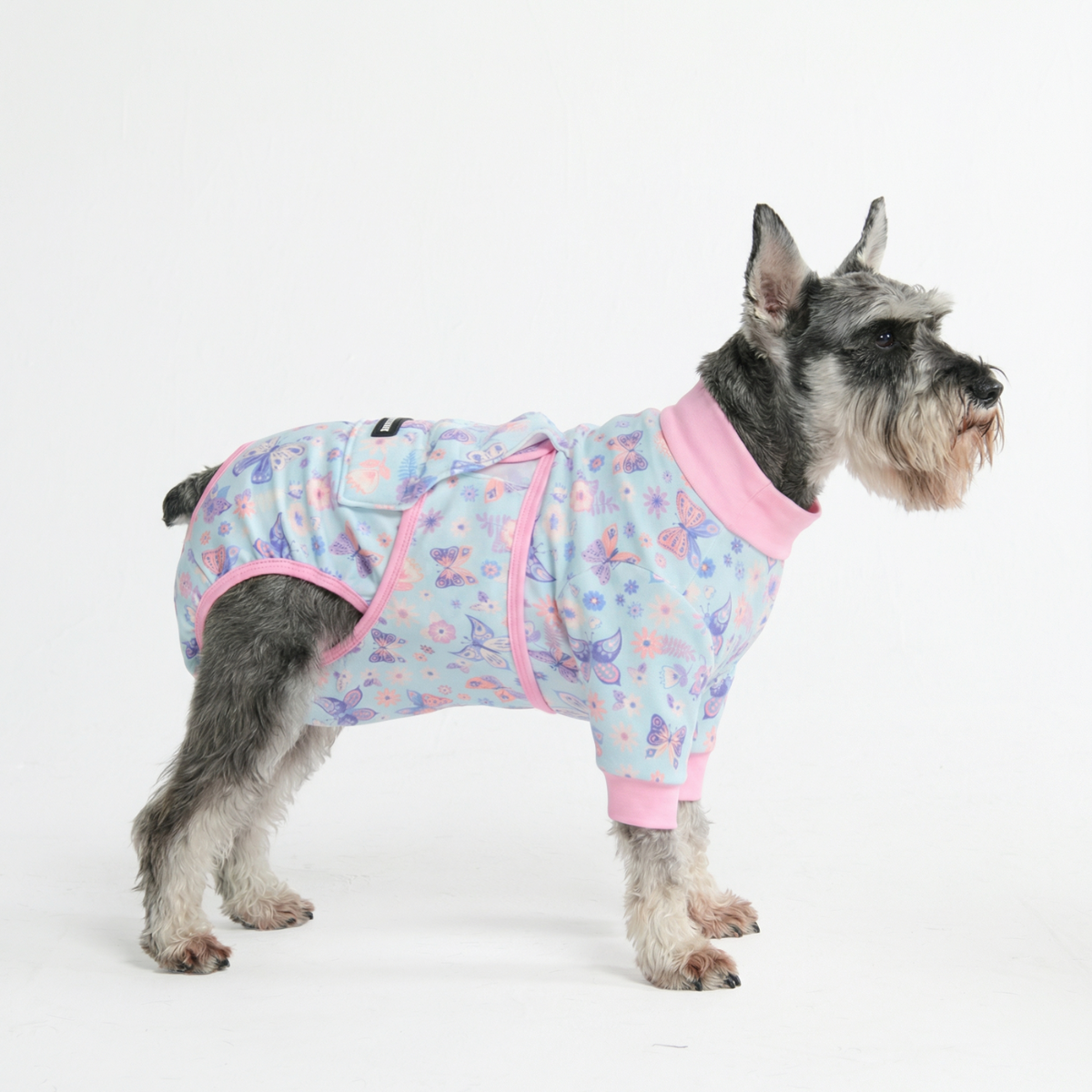 Dog Surgical Suit - Butterfly - Image 4
