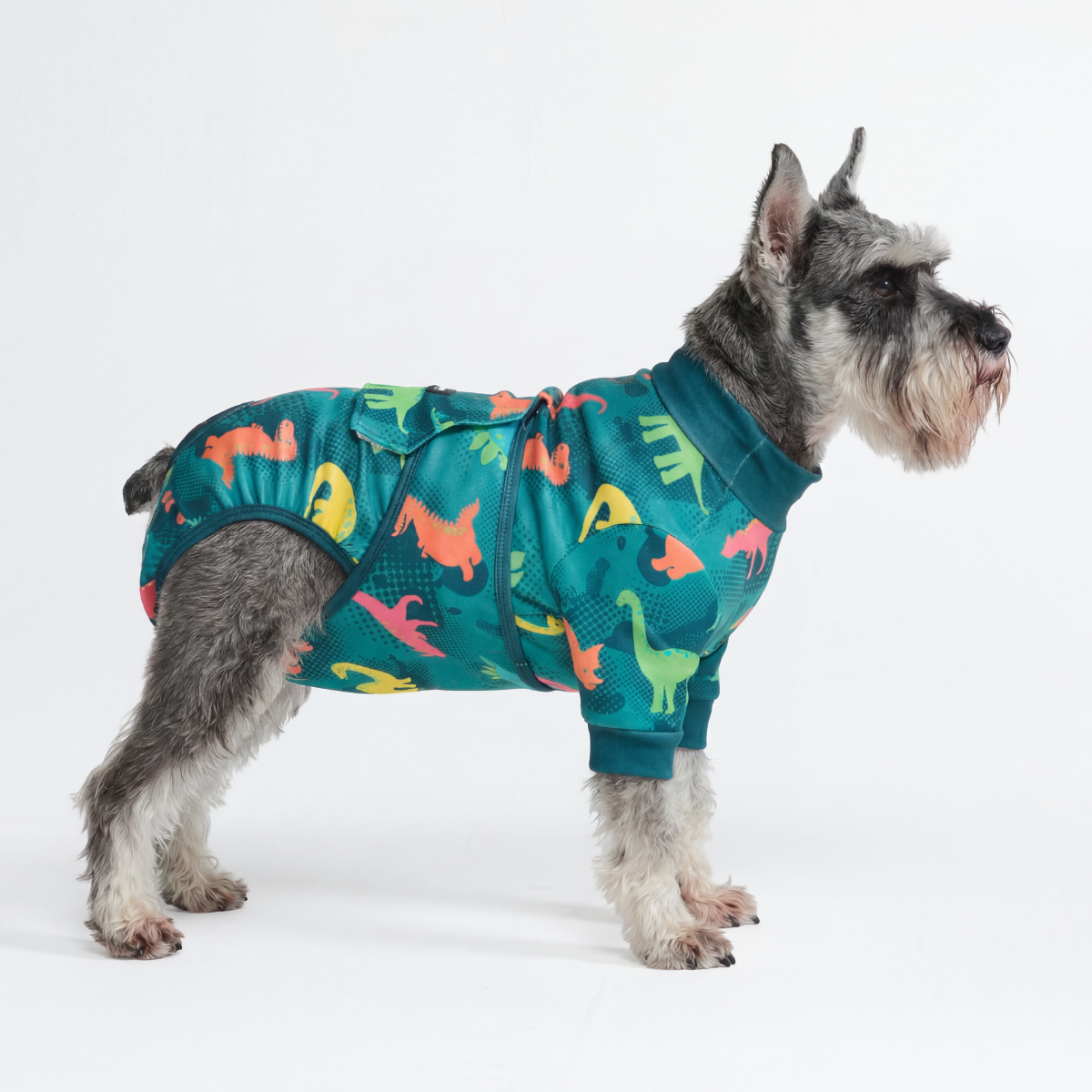 Dog Surgical Suit - Dinosaurs - Image 2